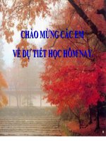 Bài giảng Sử dụng an toàn và  tiết kiệm điện