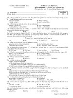 Đề mẫu thi HKI Hóa 11 số 8