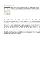 Hỏi về cách đặt tab trong word