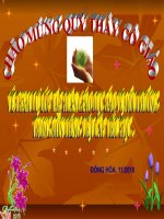 Tích hợp Bảo vệ môi trường ,Phần 2