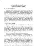 CÁC  VẤN ĐỀ LÝ LUẬN VỀ TỶ GIÁ