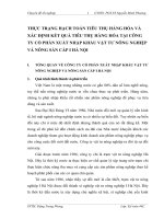 THỰC TRẠNG HẠCH TOÁN TIÊU THỤ HÀNG HÓA VÀ XÁC ĐỊNH KẾT QUẢ TIÊU THỤ HÀNG HÓA TẠI CÔNG TY CỔ PHẦN XUẤT NHẬP KHẨU VẬT TƯ NÔNG NGHIỆP VÀ NÔNG SẢN CẤP I HÀ NỘI