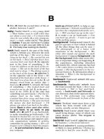 Easier English Basic Dictionary P2