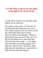 Các đặc điểm và giá trị của ruồi giấm