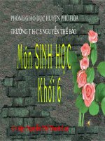 Tiết: 28 -  Bài 24: Phần lớn nước vào cây đi đâu