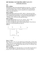 ĐỀ THI HS GIỎI LÝ 9 NĂM HỌC 2010-2011