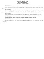 đề sử thi hk1-2010
