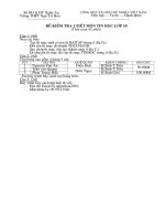 đề kiểm tra tin học 10