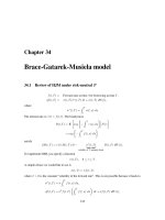 Brace-Gatarek-Musiela model