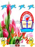 bai 25- bien dang cua la