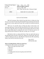 de thi tieng viet doc hieu