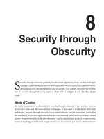 Security through Obscurity