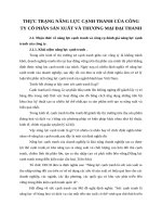 THỰC TRẠNG NĂNG LỰC CẠNH TRANH CỦA CÔNG TY CỔ PHẦN SẢN XUẤT VÀ THƯƠNG MẠI ĐẠI THANH