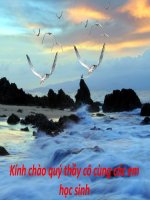 Đương kính và dây cung