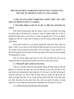 MỘT SỐ GIẢI PHÁP  MARKETING NHẰM NÂNG CAO KHẢ NĂNG TIÊU THỤ SẢN PHẨMCỦA CÔNG TY GIẦY LADODA