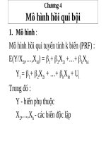 Chương 4: Mô hình hồi qui bội