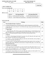 Đáp án Lịch sử 11 KTHKI