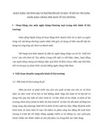 NGÂN HÀNG THƯƠNG MẠI VÀ NHỮNGVẤN ĐỀ CƠ BẢN  VỀ RỦI RO TÍN DỤNG NGÂN HÀNG TRONG NỀN KINH TẾ THỊ TRƯỜNG