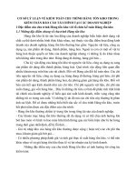 CƠ SỞ LÝ LUẬN VỀ KIỂM TOÁN CHU TRÌNH HÀNG TỒN KHO TRONG KIỂM TOÁN BÁO CÁO TÀI CHÍNH TẠI CÁC DOANH NGHIỆP