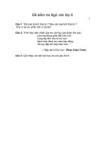 Đề thi NV8(2)-có ĐA+BĐ