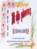 LTC T.13 TỪ ĐỊA PHƯƠNG. DẤU CHẤM THAN...