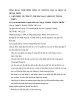 TỔNG QUAN TÌNH HÌNH CÔNG TY THƯƠNG MẠI VÀ DỊCH VỤ THĂNG THIÊN