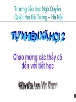 Tu nhien xa hoi 2