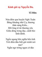 Kính gửi cụ Nguyễn Du