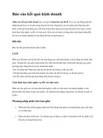 Báo cáo kết quả kinh doanh