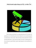 Kinh doanh ngân hàng tại Mỹ và châu Âu!