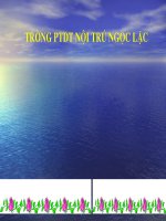 tính chất đường P/g của tam giác