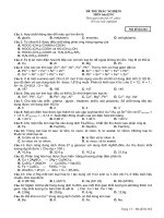 Đề mẫu HK I Hóa 12_3