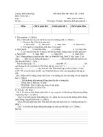 Sử 7 HKI 2010-2011