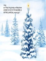 Code trang trí website ngày No en