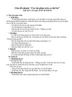 Tuần 2 (từ 04/10-08/10/2010)