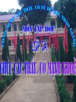 Hành trình của bầy ong-TĐl ớp 5