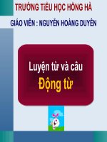 tuan 10 - dong tu