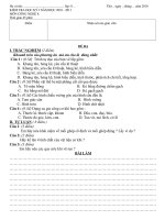 đề kiểm tra kọc kỳ I năm 2010 - 2011