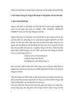 Phân tích tình hình tài chính Công ty Mỹ thuật và Vật phẩm văn hoá Hà Nội