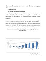 ĐÁNH GIÁ MÔI TRƯỜNG KINH DOANH CỦA CÔNG TY CP NHỰA ĐÀ NẴNG