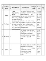 KẾ HOẠCH GIẢNG DẠY NGỮ VĂN 8 - 2010