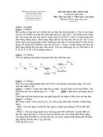 Đề thi chọn HSG Hóa 9