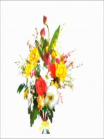 Vị trí tương đối của hai đường tròn (t1)