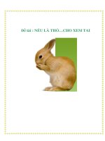 Đề tài : NẾU LÀ THỎ…CHO XEM TAI