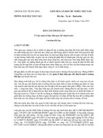 Tham luận quản lý chuyên môn