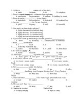 IOLYMPIC-IOE-70 sentences- test for violympic