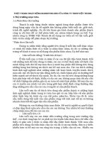 THỰC TRẠNG HOẠT ĐỘNG MARKETING MIX CỦA CÔNG TY TNHH VIỆT THÀNH