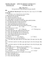 Đề KT cuối HKI Năm học 2010- 2011