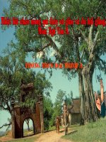 Lang - Kim Lan ( HL )