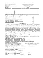 de Ktra Anh 7 HKI chuan 2010-2011